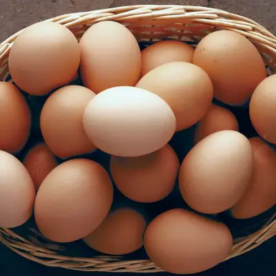 Organic Cage-Free Grade A Large Brown Eggs